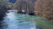 Sauve_25_02-240