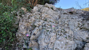 Sauve_25_02-27