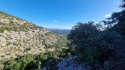 Sauve_25_02-28