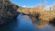 Sauve_25_02-3