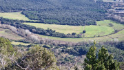 Sauve_25_02-33