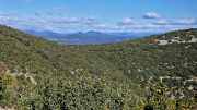 Sauve_25_02-36
