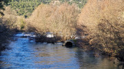 Sauve_25_02-4