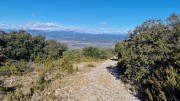 Sauve_25_02-54