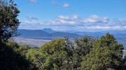 Sauve_25_02-59