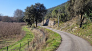 Sauve_25_02-6
