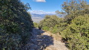 Sauve_25_02-68