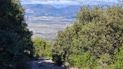 Sauve_25_02-69