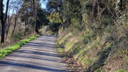 Sauve_25_02-7