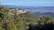 Sauve_25_02-76