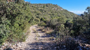Sauve_25_02-78