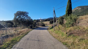 Sauve_25_02-8