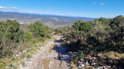 Sauve_25_02-81