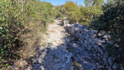 Sauve_25_02-90