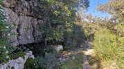 Sauve_25_02-92