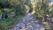 Sauve_25_02-93