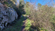 Sauve_25_02-94