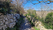 Sauve_25_02-96