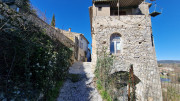 Sauve_25_02-97