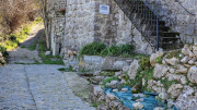 Sauve_25_02-99