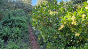 Cabrieres_24_11-107