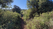 Cabrieres_24_11-109