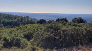 Cabrieres_24_11-120