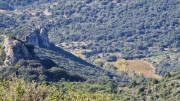 Cabrieres_24_11-131