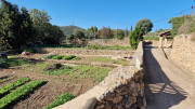 Cabrieres_24_11-175