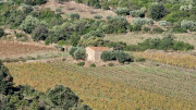 Cabrieres_24_11-19