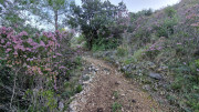 Cabrieres_24_11-20