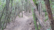 Cabrieres_24_11-214