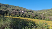Cabrieres_24_11-223