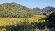Cabrieres_24_11-225