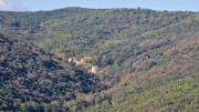 Cabrieres_24_11-240