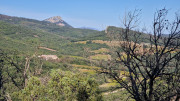Cabrieres_24_11-241