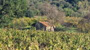 Cabrieres_24_11-253
