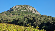 Cabrieres_24_11-259