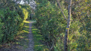 Cabrieres_24_11-264