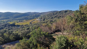 Cabrieres_24_11-265