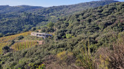 Cabrieres_24_11-266