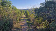 Cabrieres_24_11-268