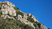 Cabrieres_24_11-269