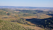 Cabrieres_24_11-281