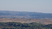 Cabrieres_24_11-282