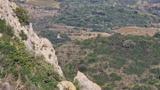 Cabrieres_24_11-286