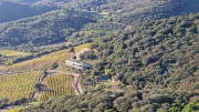 Cabrieres_24_11-288