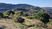 Cabrieres_24_11-59