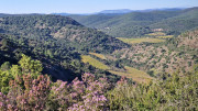 Cabrieres_24_11-60
