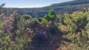 Cabrieres_24_11-63